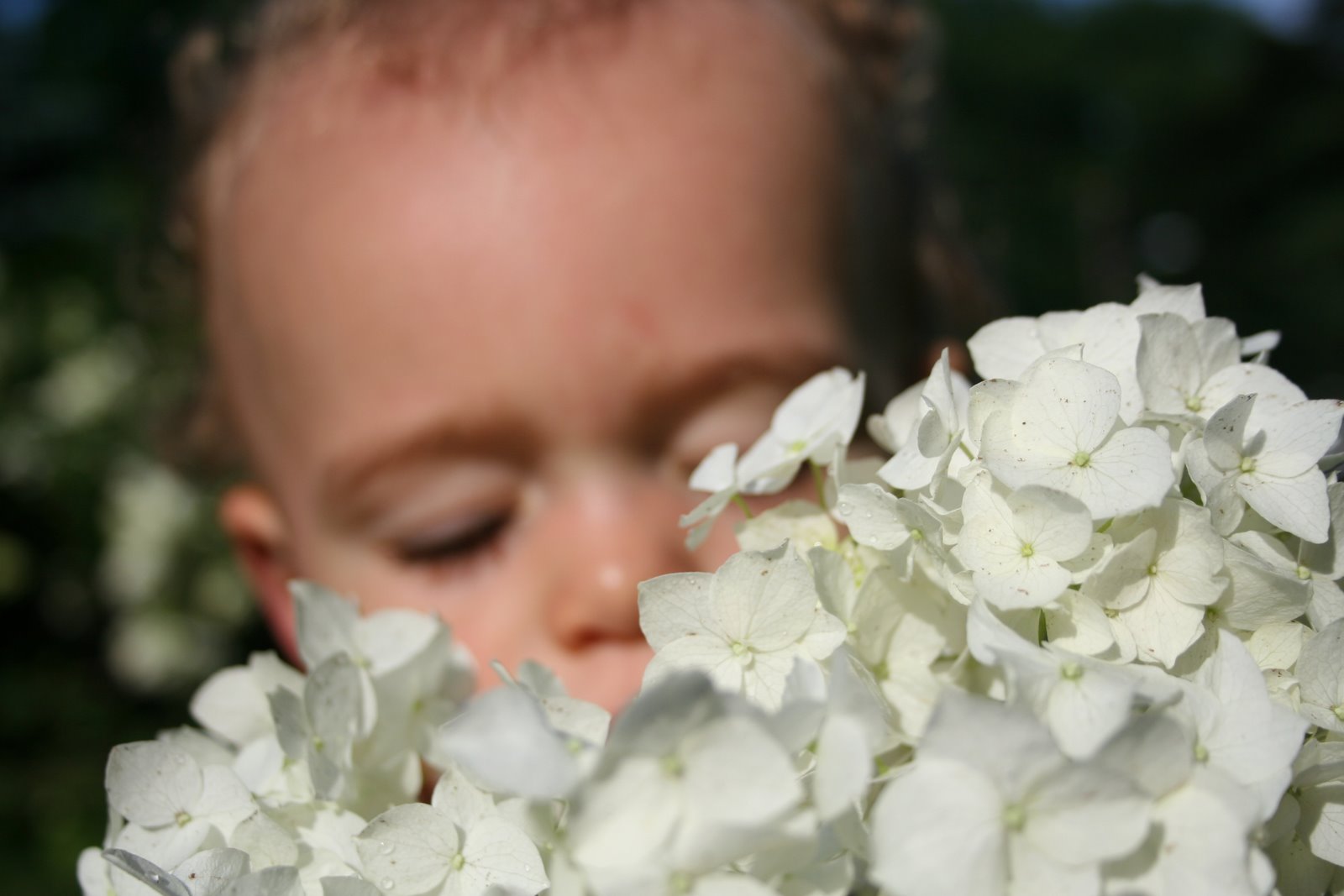 [flowers.jpg]