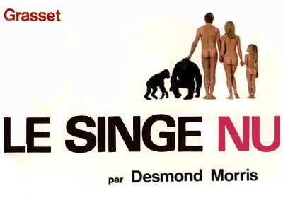 Le_singe_nu.jpg