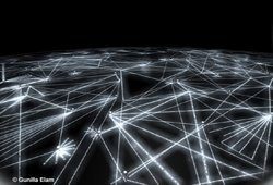 [20080818131618.jpg]