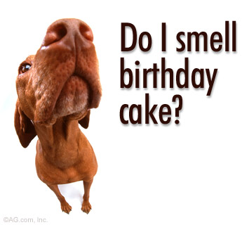 http://3.bp.blogspot.com/_CJb8eVq2Nj0/TJc5pLcFXoI/AAAAAAAAAVE/c_CKA_2OYZc/s1600/Happy+Birthday.jpg