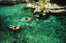The Clear Waters of the Mayan Riviera