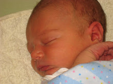 One Week Old