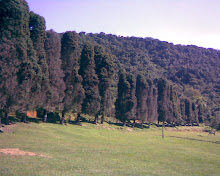 SERRA DA BOCAINA