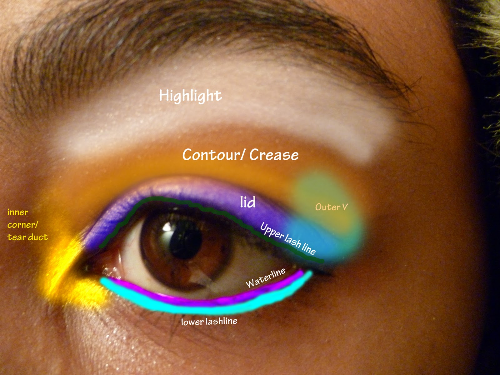 A Day in the Life Of Rachel Eye Makeup Map Where to put Eyeshadow?