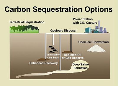 [sequestration_options.jpg]