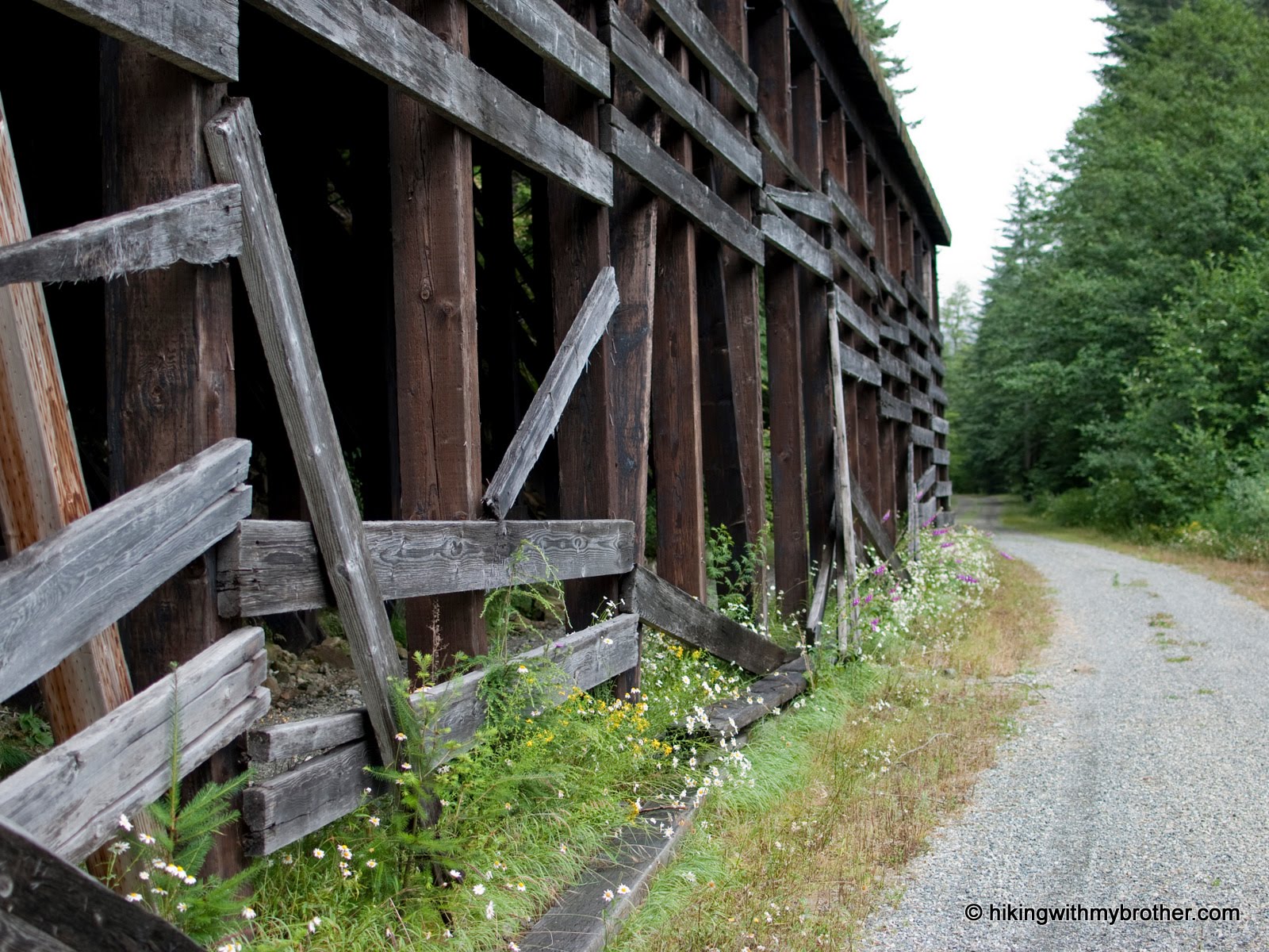 Iron Horse Trail John Wayne Pioneer Trail Hiking with my Brother