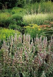 Is Urban Horticulture a Solution?