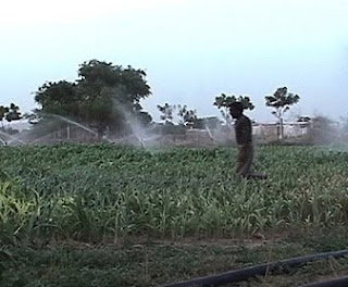 Urgency for Organic Farming