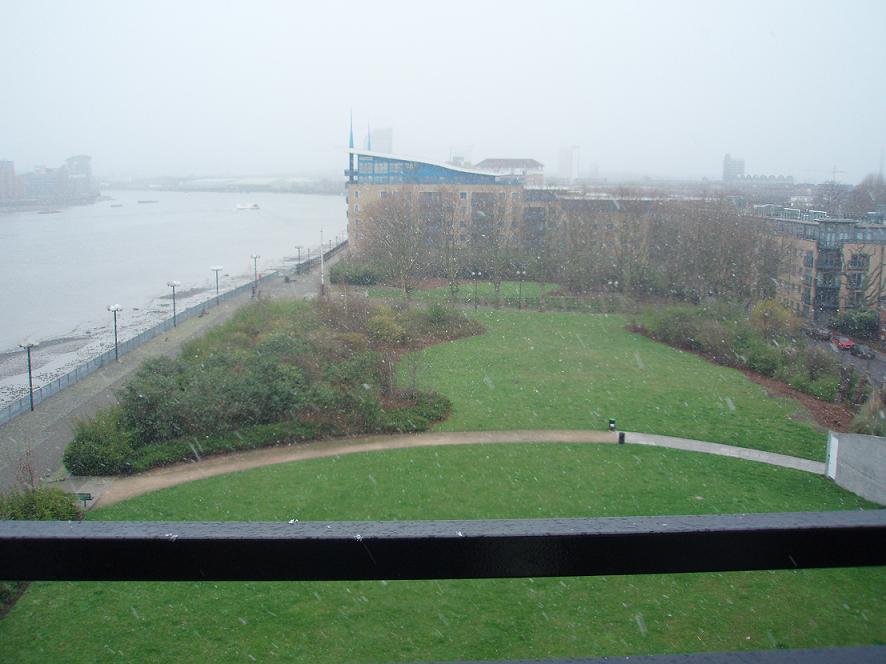 [P3241554fotito.JPG]