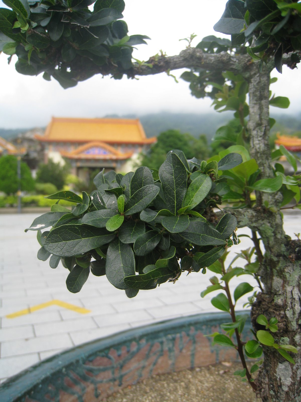 [IMG_2902.JPG]