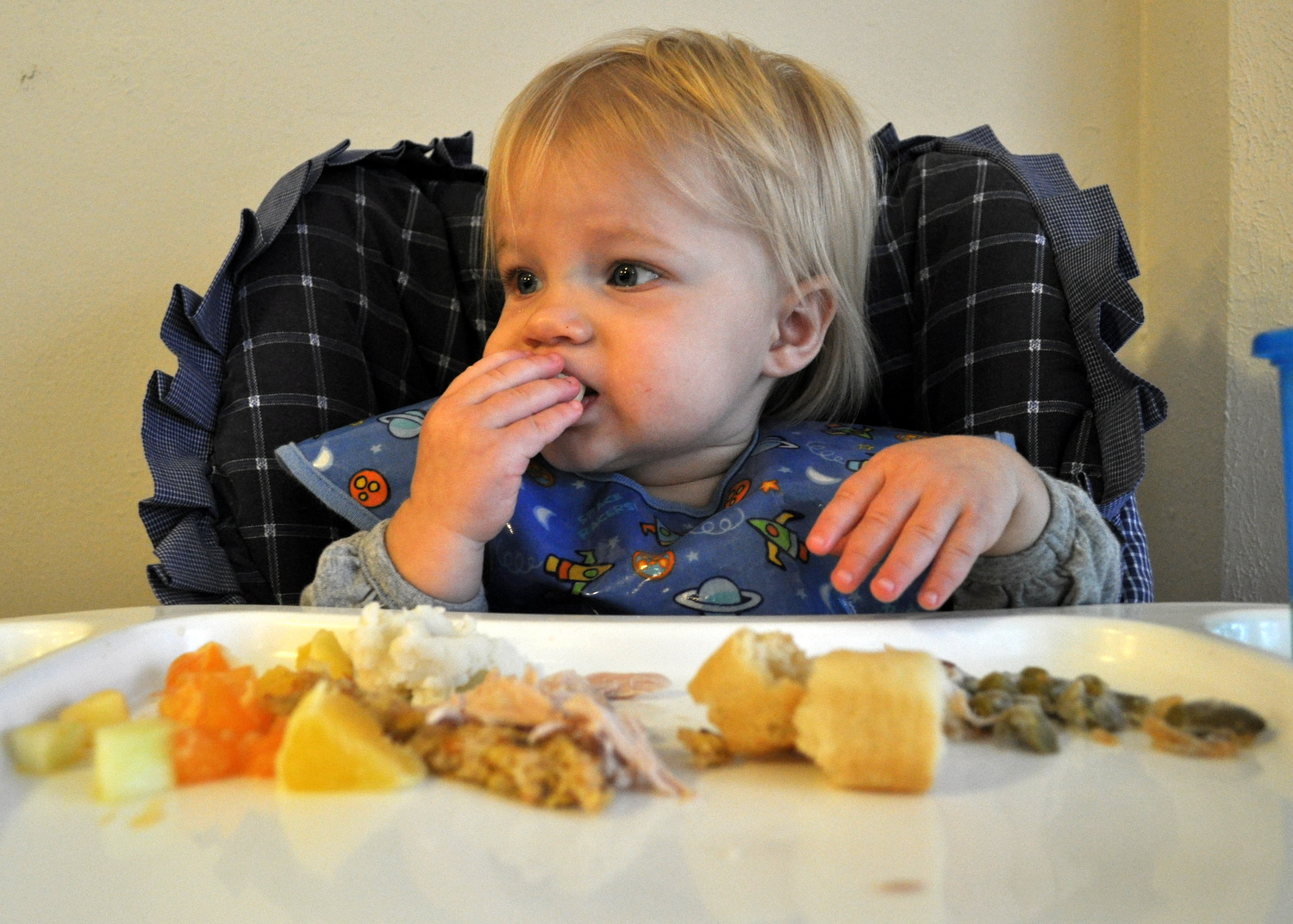 Printables on thanksgiving