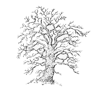 Genealogia y <a href=