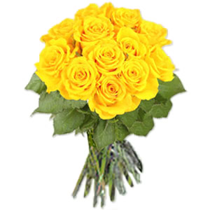 [YellowRoses.jpg]