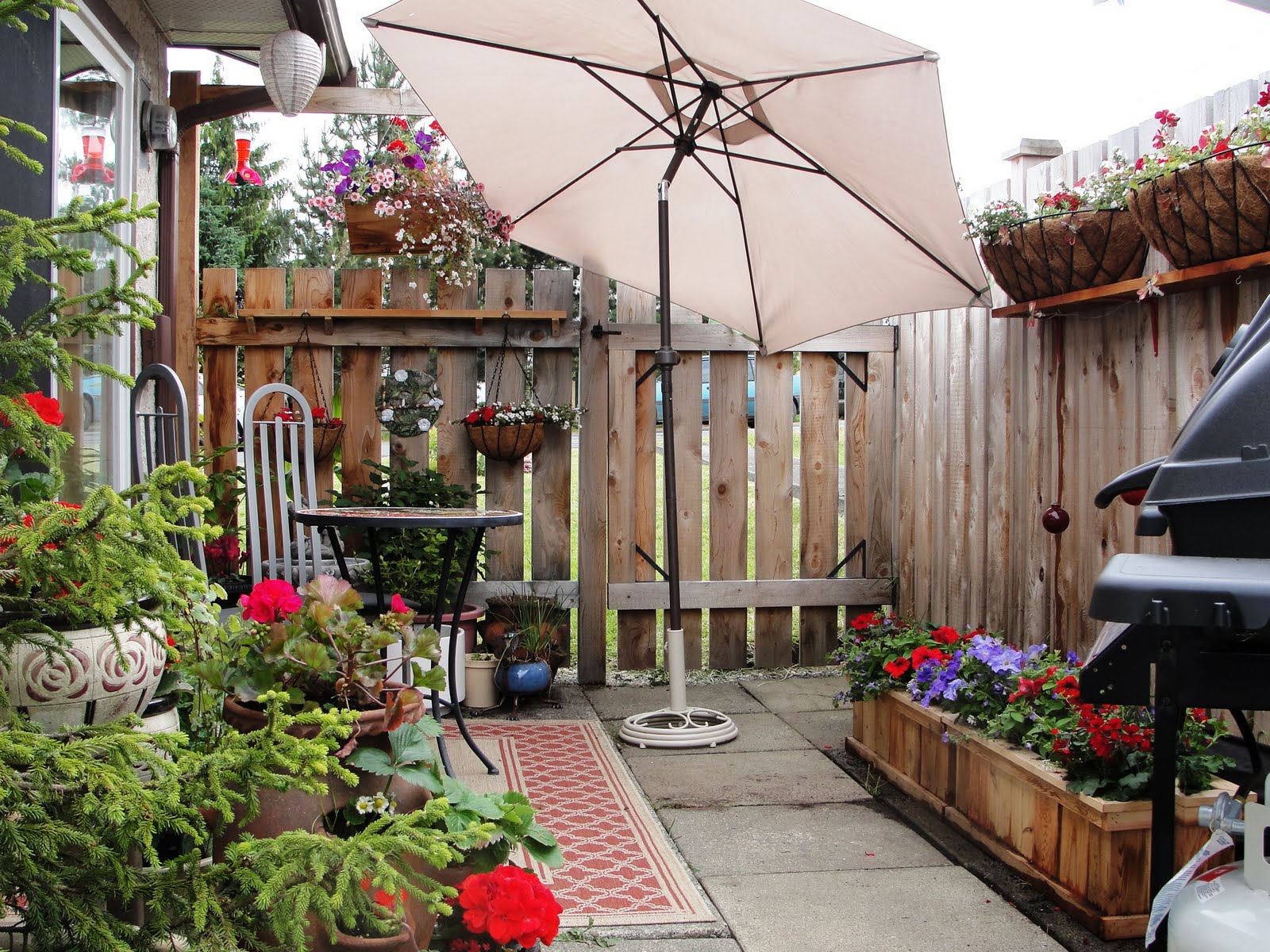 My life with the critters: Confessions of a Patio Gardener