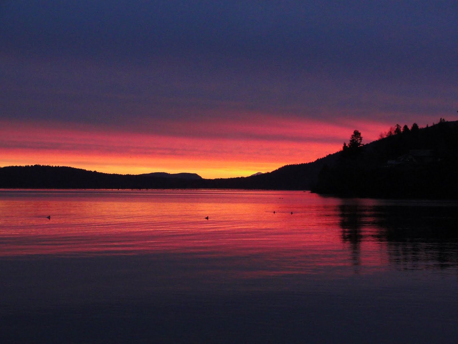 Sunrise Pictures