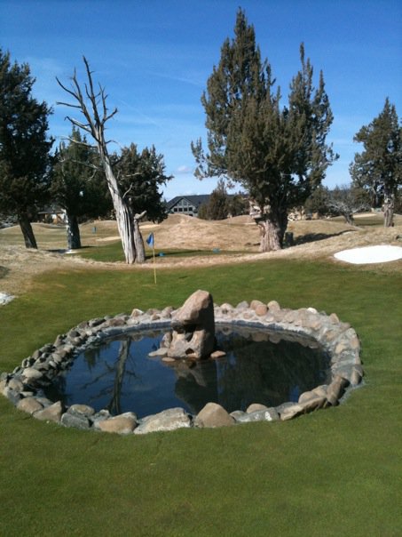 [golf]