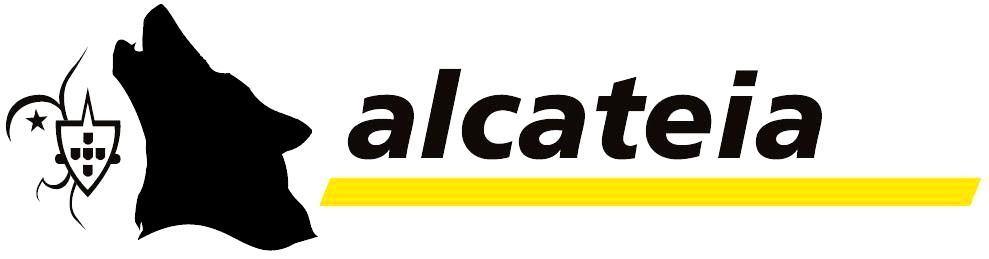 [01-Divisão-Alcateia-Lobitos.JPG]