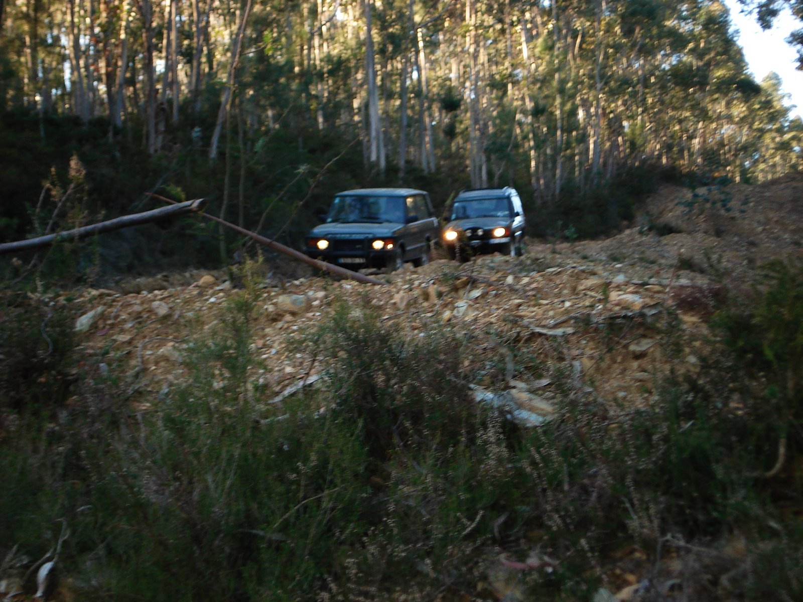 [DSC00477.JPG]