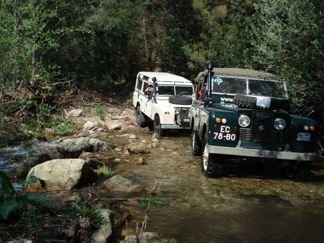 [DSC01267.JPG]