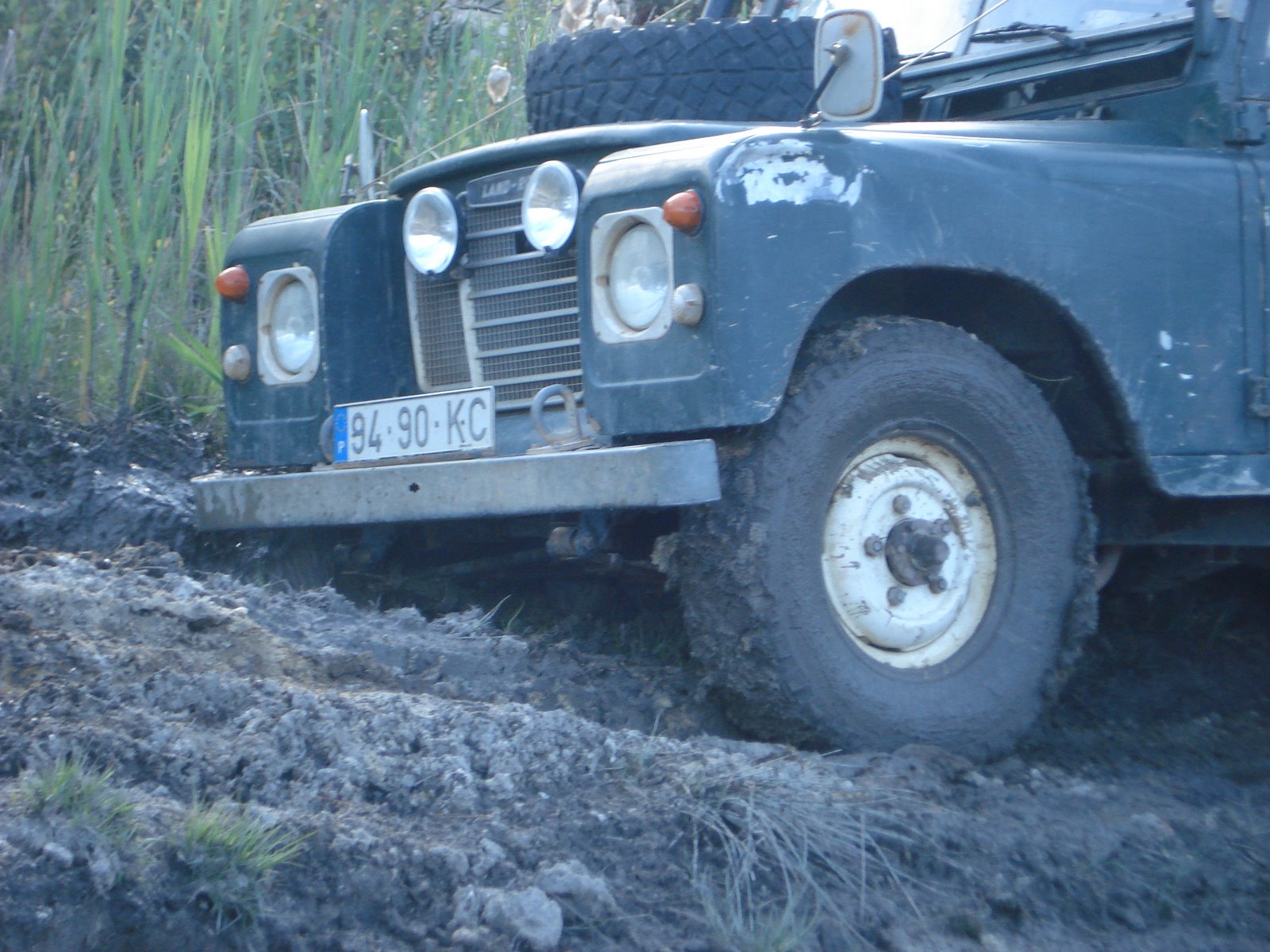 [DSC02555.JPG]