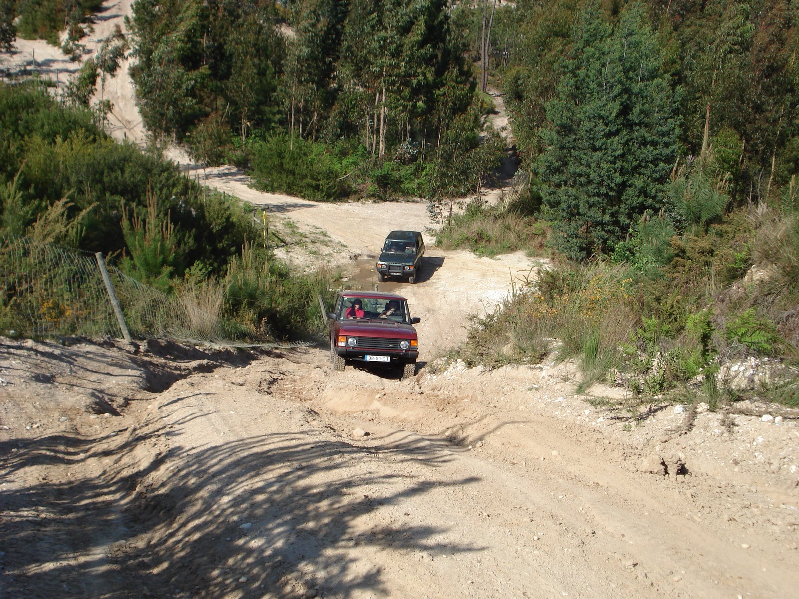 [DSC02520.JPG]