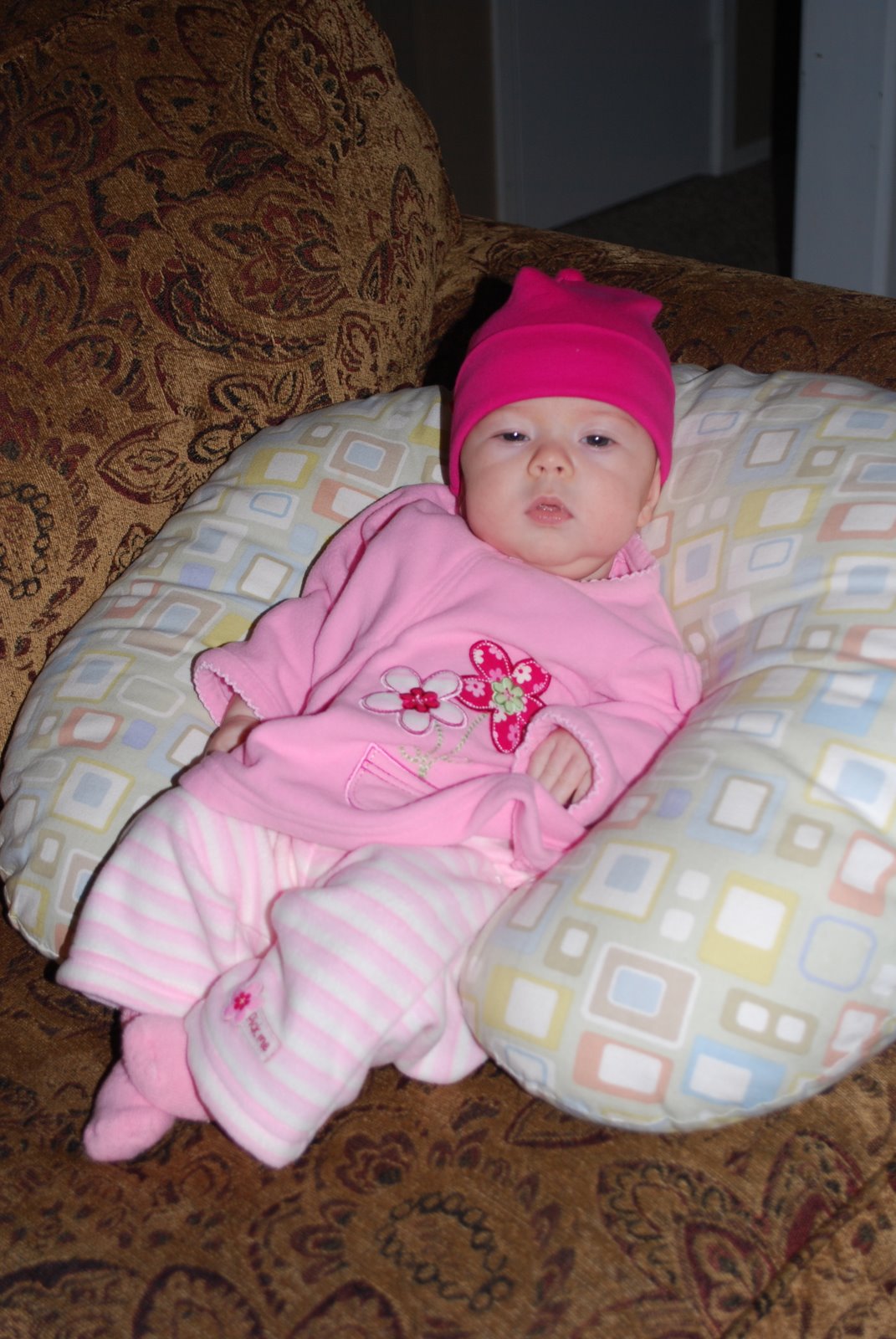 [DSC_0244.JPG]
