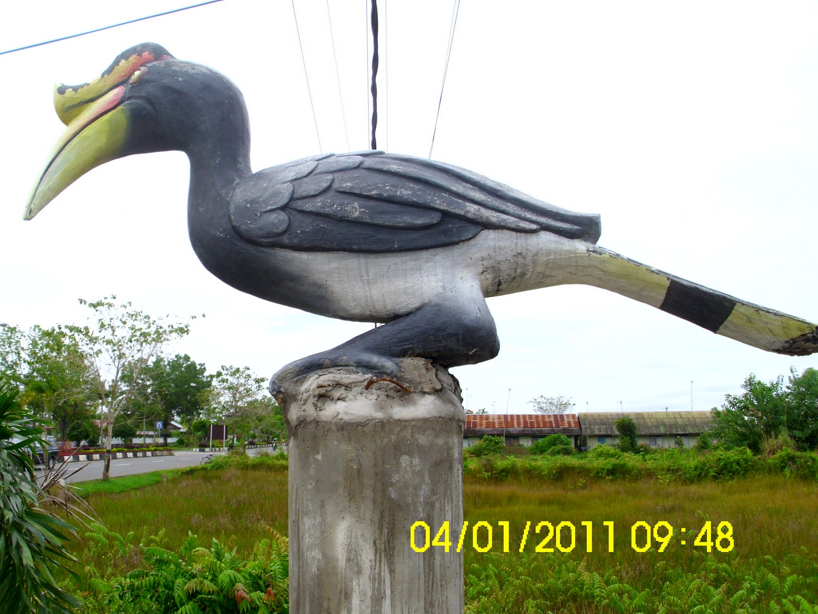 Enggang Di Bundaran Kota Kuala Kapuas Disporabudpar Kapuas