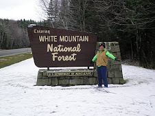 white mountain of New Hampshire.