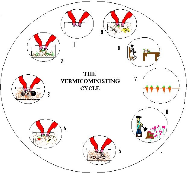 The mystery of the worms The Cycle