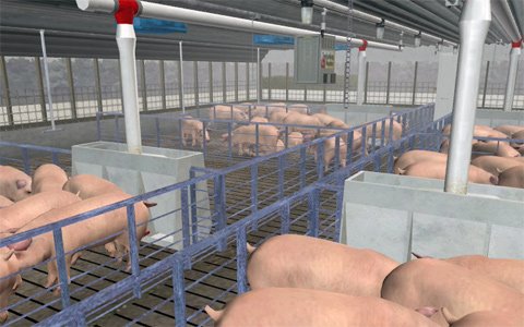 [pig-farm-training-simulator-4.jpg]