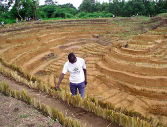 [vetivererosion.jpg]