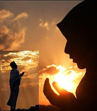 God Has Forbidden Us To Destroy This Earth That He Has Created