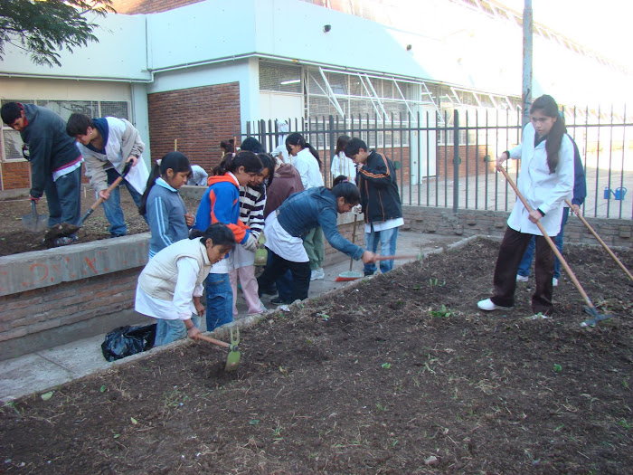 PREPARADO DE LA TIERRA