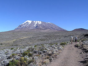 Kilimanjaro!