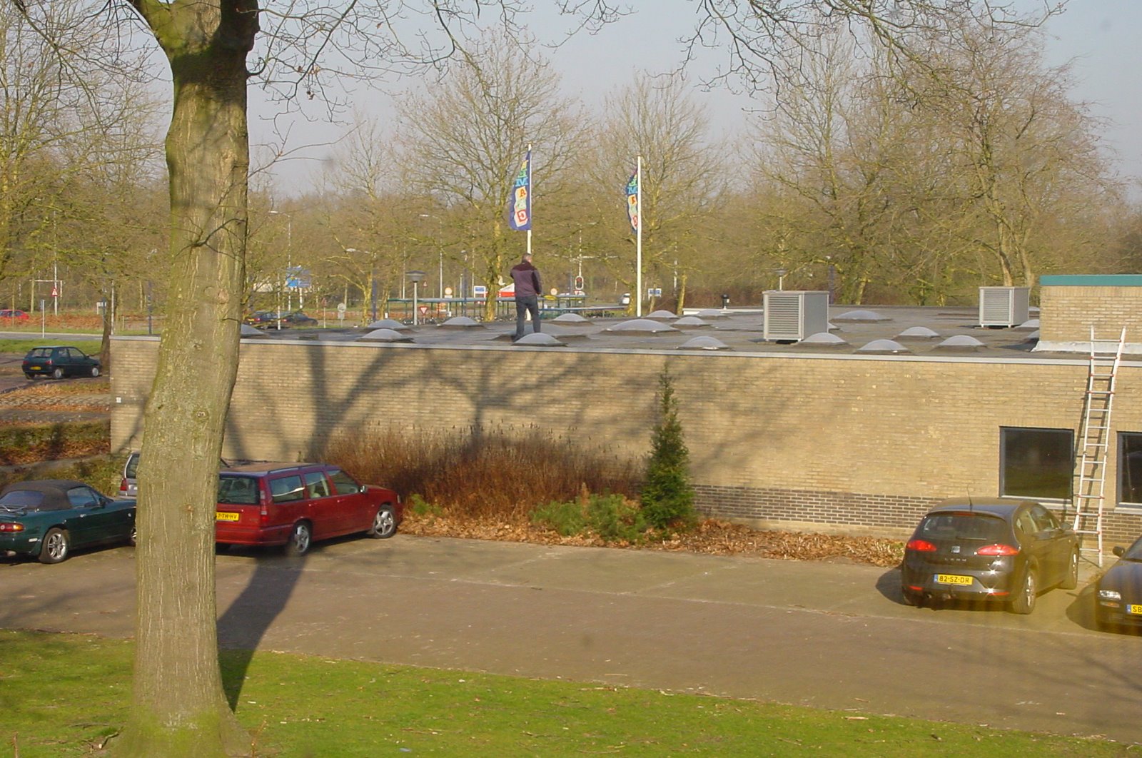 [DSC00006.JPG]