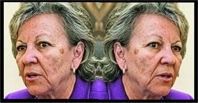 [Emília+dupla.jpeg]