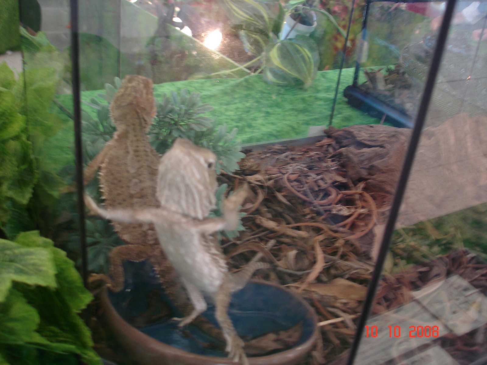 [DSC09413.JPG]