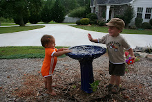 Playing in the bird bath and splashing each other