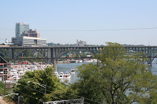 Our view of Vol Navy from our tailgating spot