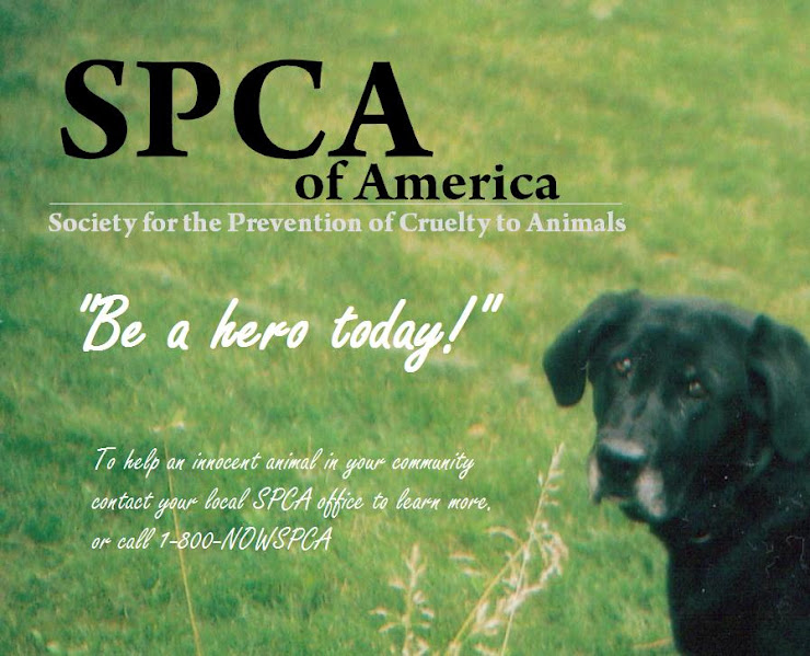 SPCA