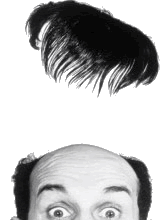 calvo.gif