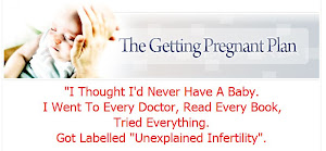 The Getting Pregnant Plan Only $49