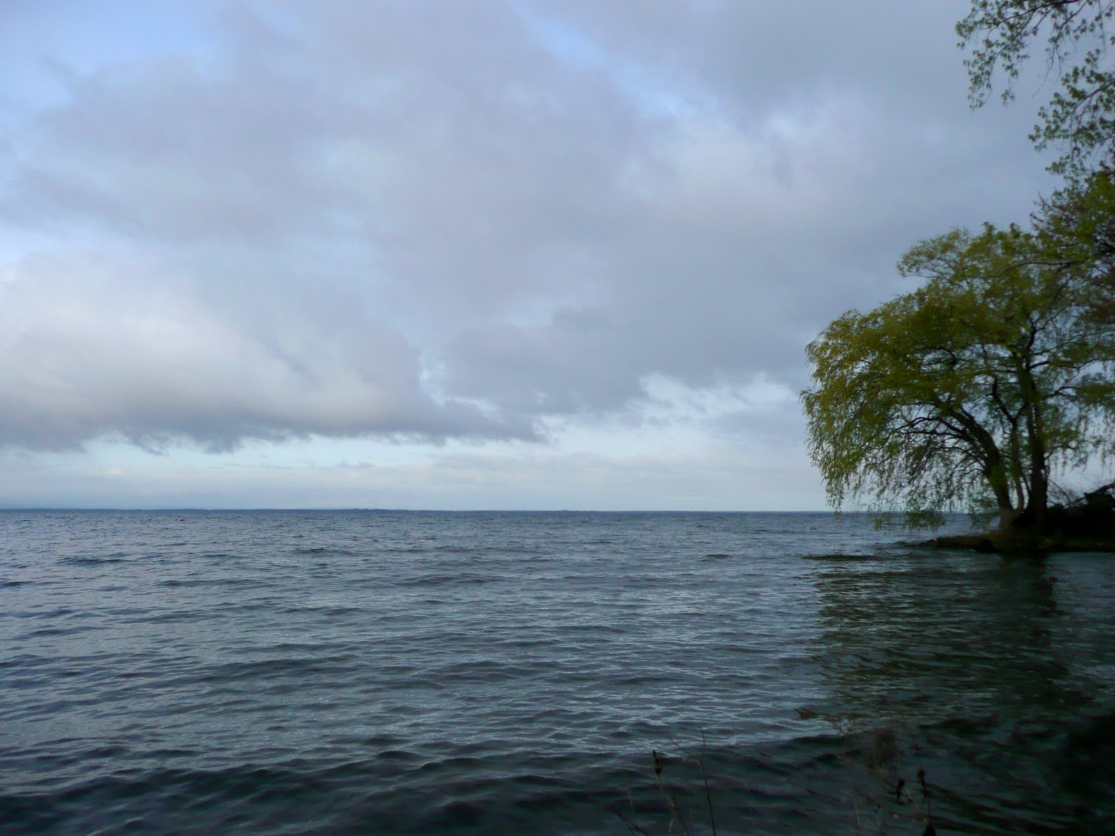 Oneida Lake Chronicles April 2010
