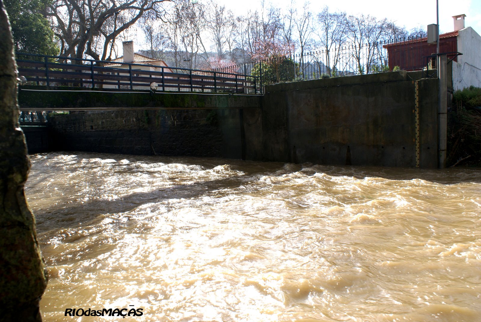 [DSC02746+copy.jpg]