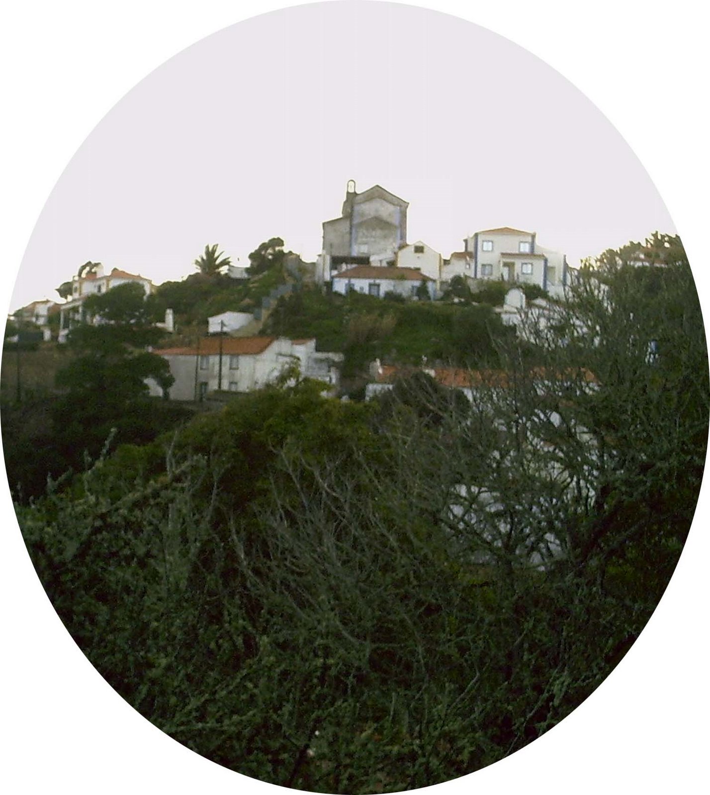 [2007penedo.jpg]