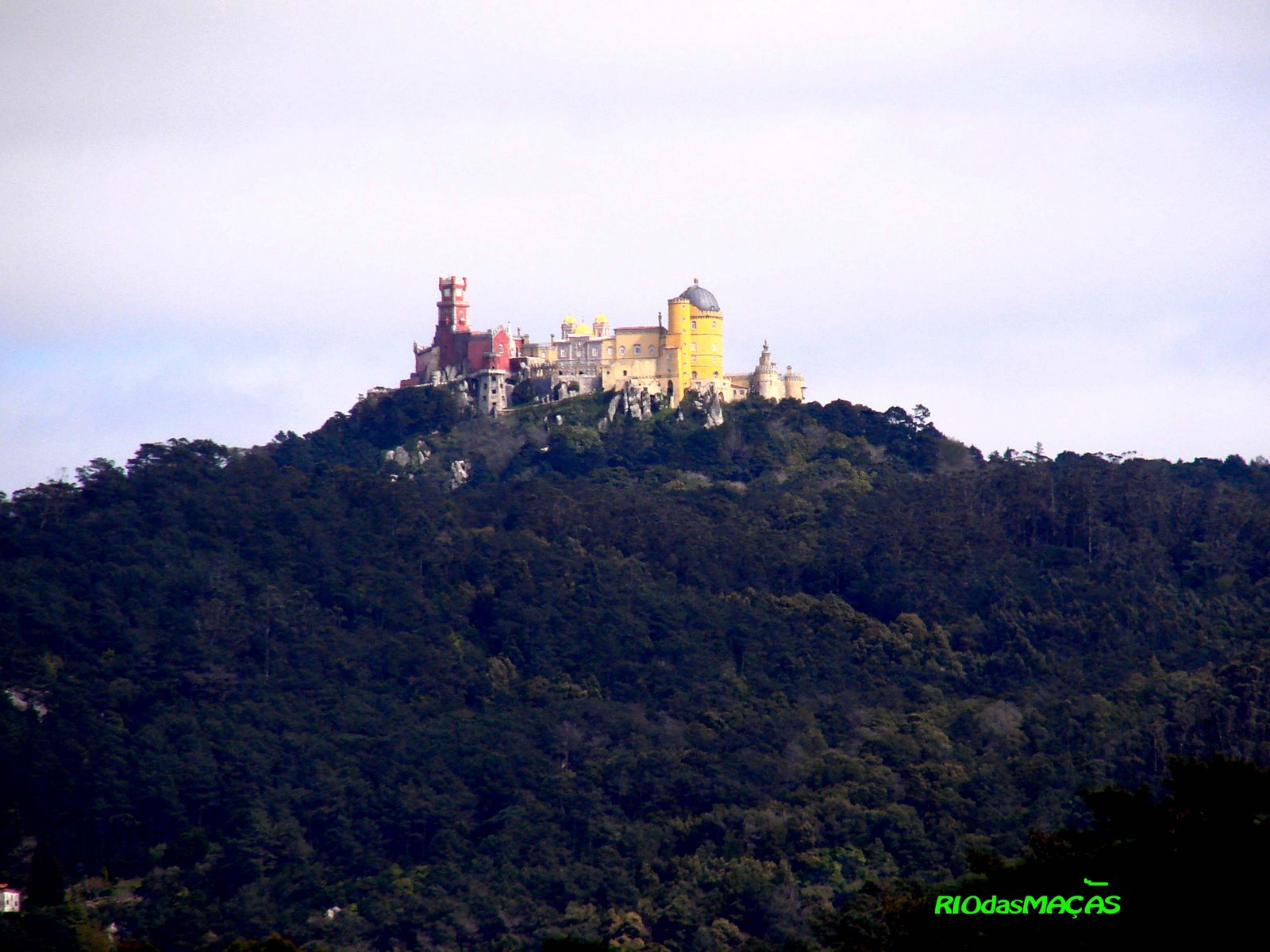 [palaciopbfinalfinal.jpg]