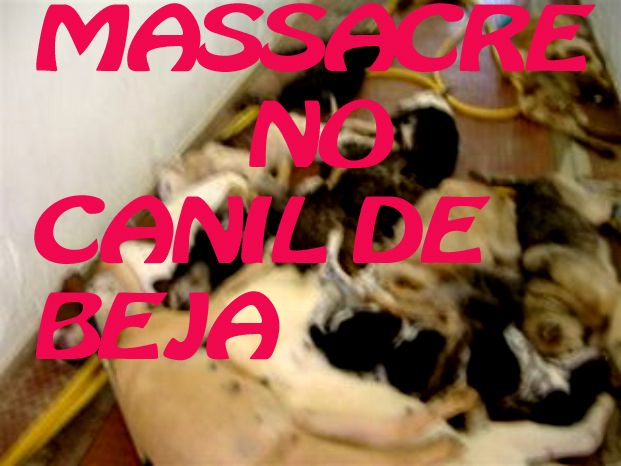 [massacre.jpg]