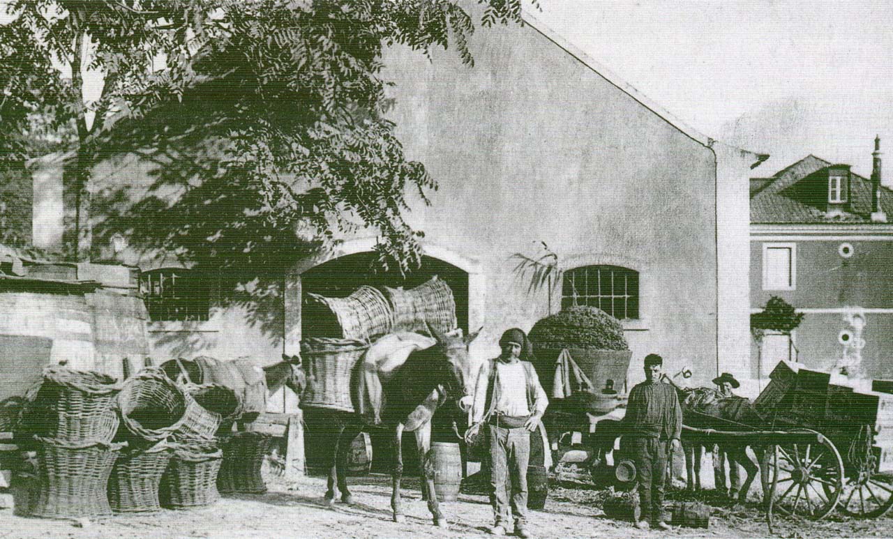 [sintra-rural-004.jpg]