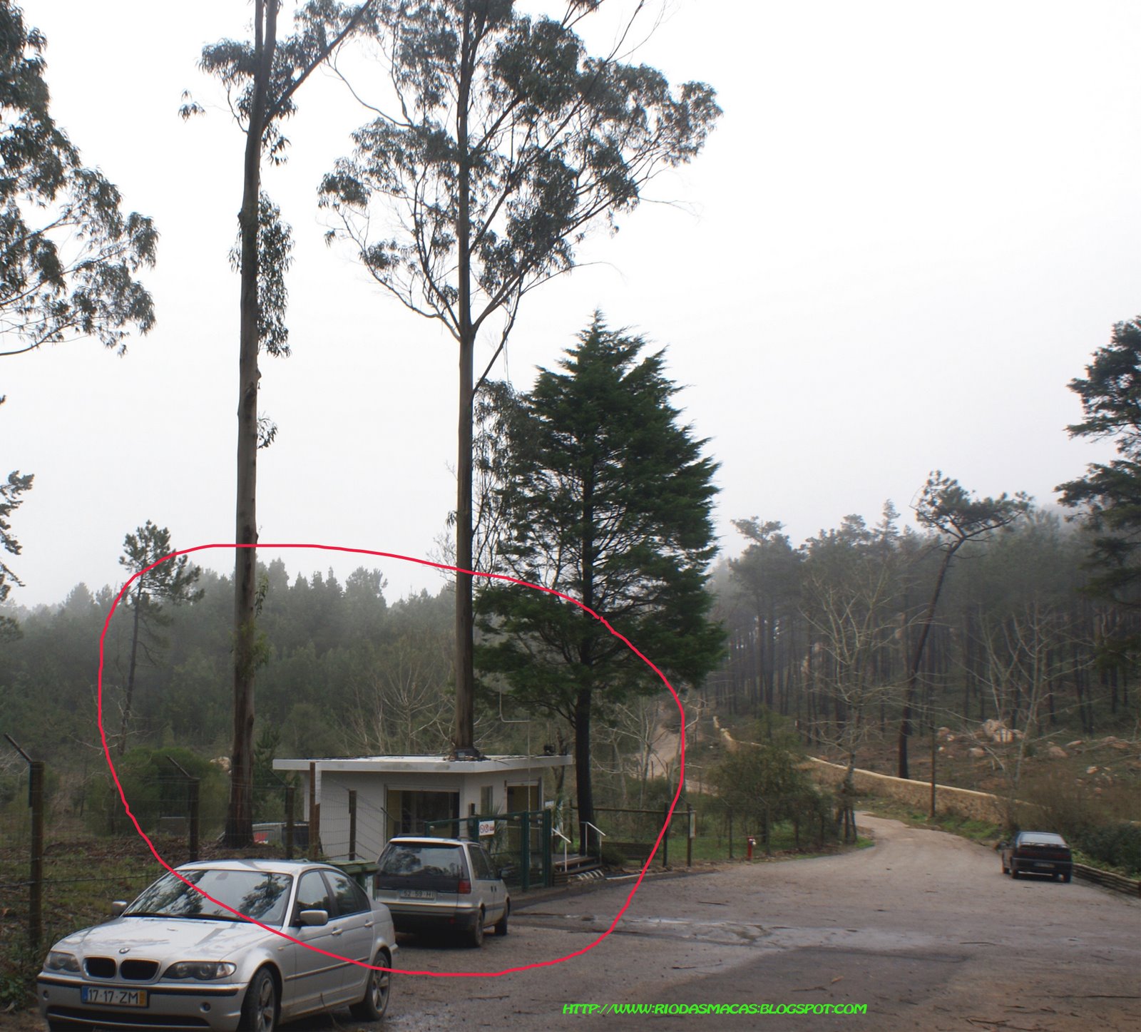 [tapadaeucalipto2final.jpg]