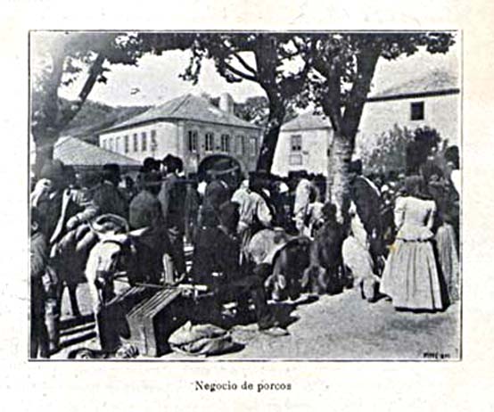 [feiraporcos.jpg]
